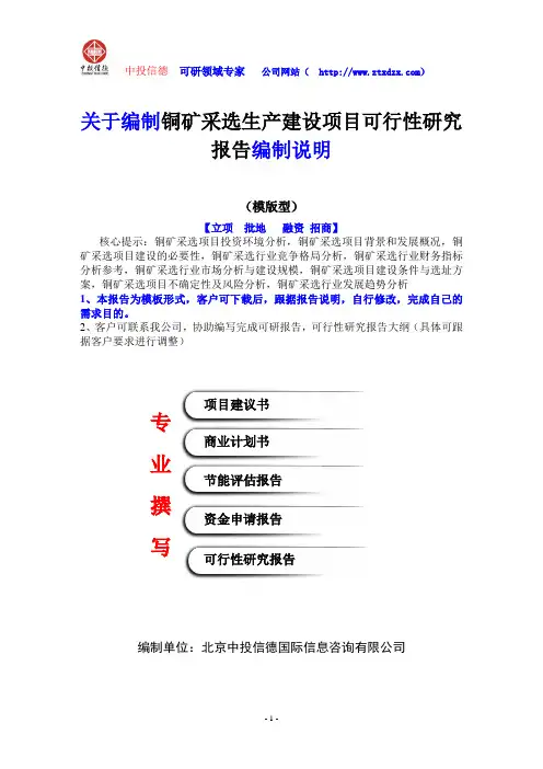 关于编制铜矿采选生产建设项目可行性研究报告编制说明