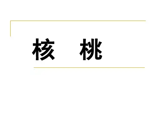 果树栽培学各论 第十一章 核桃
