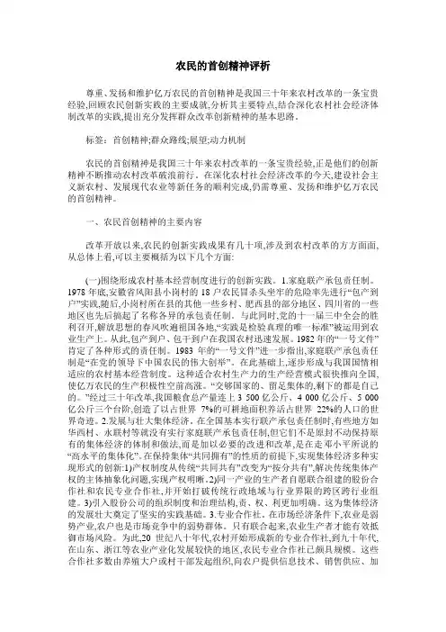 农民的首创精神评析