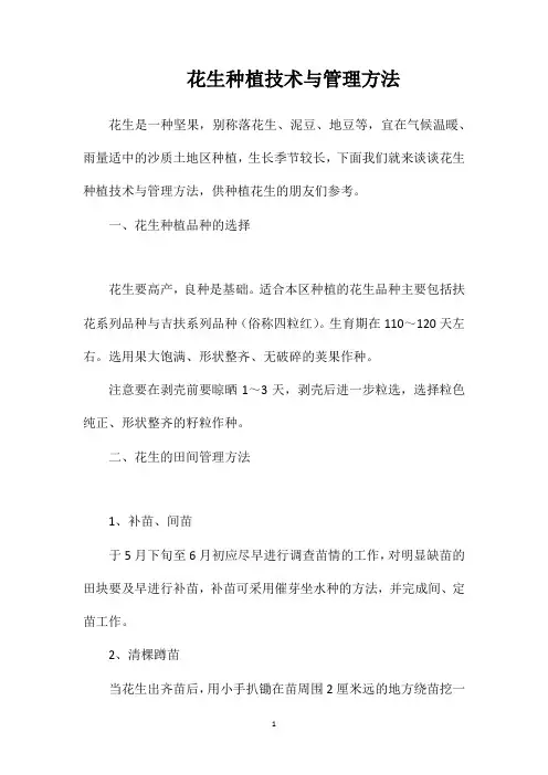 花生种植技术与管理方法