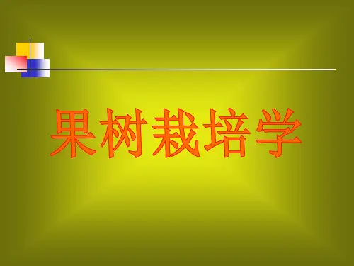 果树分类
