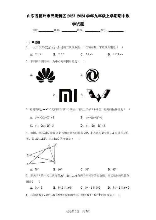 山东省德州市天衢新区2023-2024学年九年级上学期期中数学试题