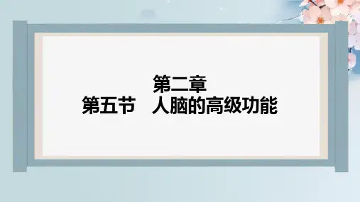 2-5人脑的高级功能课件高二上学期生物人教版选择性必修1