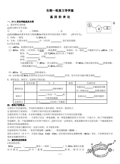 高三一轮复习学案 22.基因的表达(3课时)