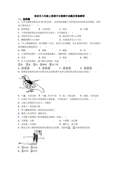 南京市八年级上册期中生物期中试题及答案解答