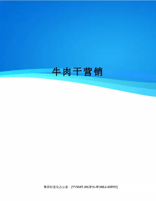 牛肉干营销完整版