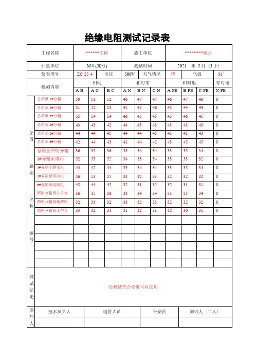 绝缘电阻检测记录(样板)e
