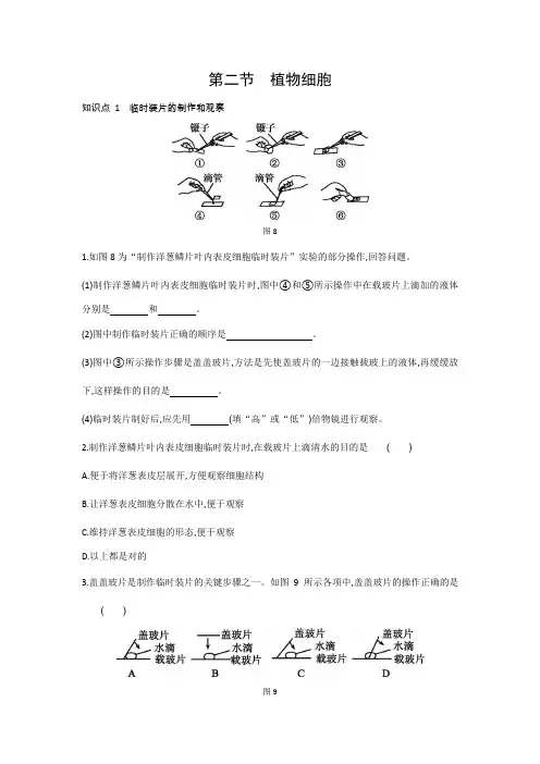 植物细胞---练习2021-2022学年人教版生物七年级上册