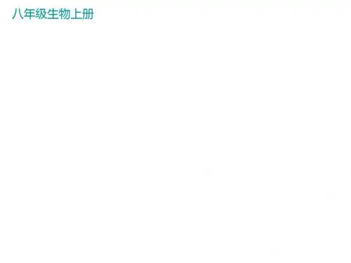 人教版八年级生物上册课件 5.1教学课件 第七节     哺乳动物