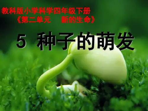 四年级下册科学课件种子的萌发 教科版 (共11页)PPT
