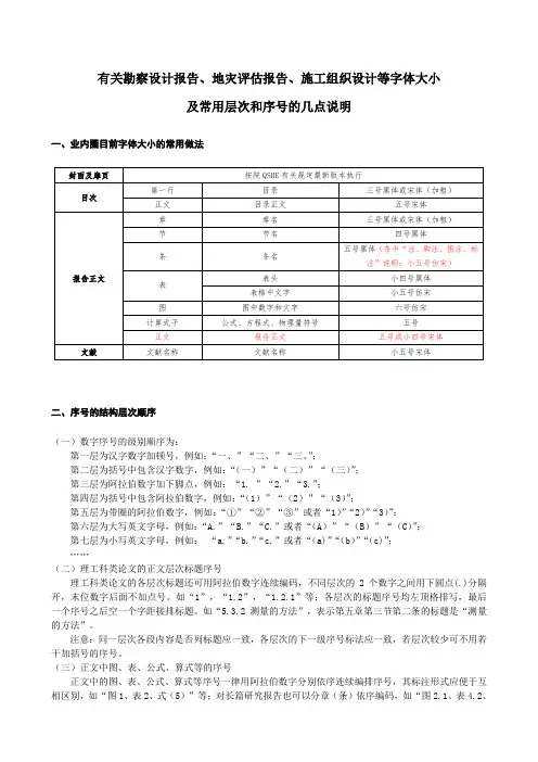 有关报告字体大小及序号结构层次顺序的说明
