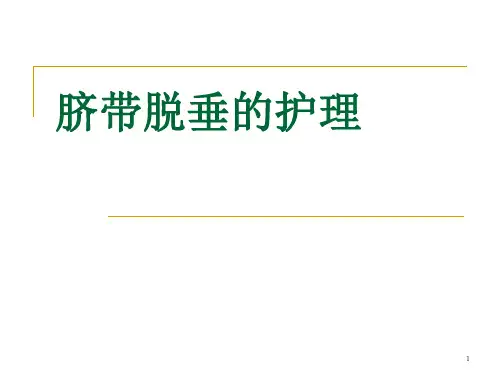 脐带脱垂护理ppt课件