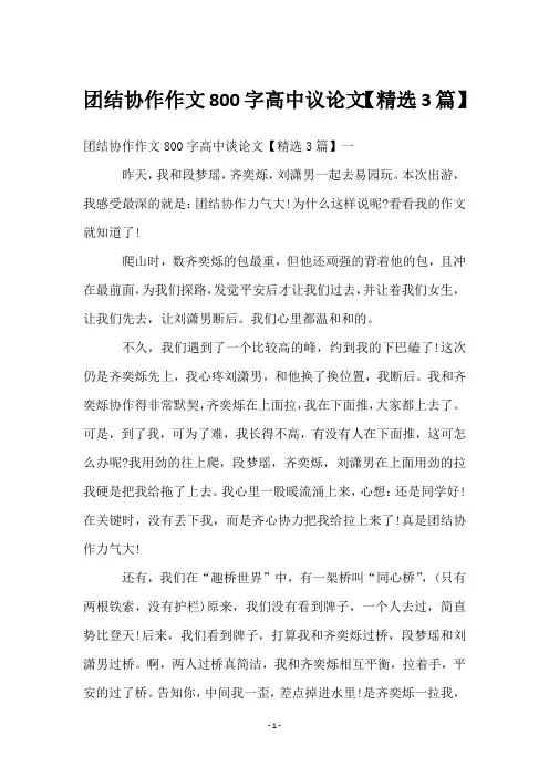 团结协作作文800字高中议论文【精选3篇】