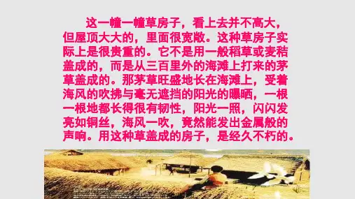 作品推荐曹文轩草房子PPT课件