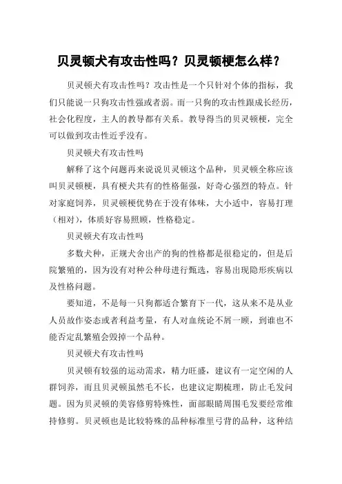 贝灵顿犬有攻击性吗？贝灵顿梗怎么样？