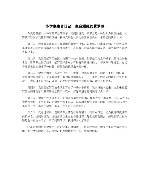 小学生生命日记：生命顽强的紫罗兰
