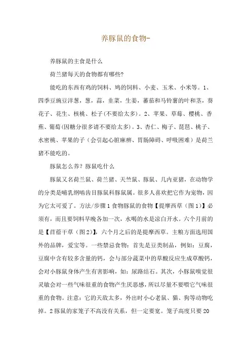 养豚鼠的食物--养豚鼠的主食是什么