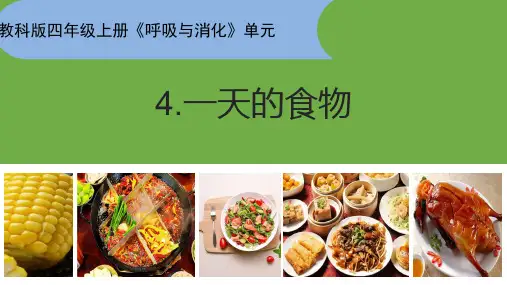 教科版四年级上册科学 2.4 一天的食物  课件(共26张PPT)