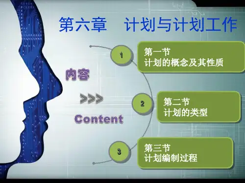 管理学 第六章 计划与计划工作
