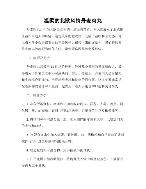 温柔的北欧风情丹麦肉丸