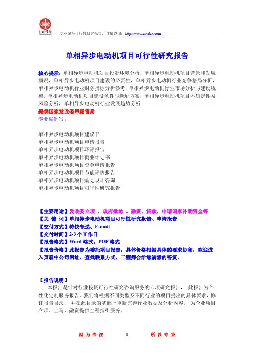 单相异步电动机项目可行性研究报告