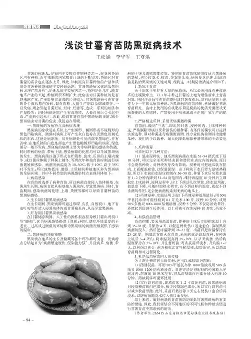 浅谈甘薯育苗防黑斑病技术