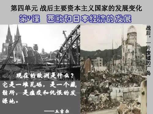 李继星展示课 西欧和日本经济的发展