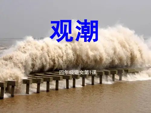 《观潮》PPT课件