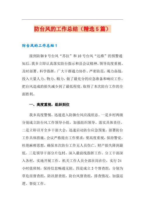 防台风的工作总结(精选5篇)
