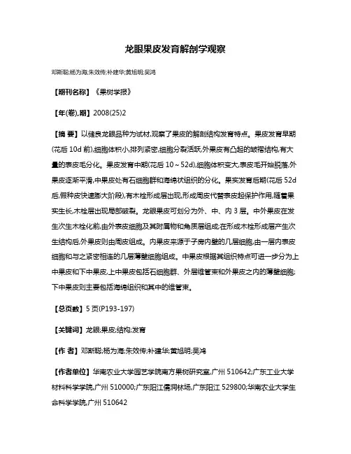 龙眼果皮发育解剖学观察