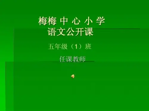 黄道婆ppt课件