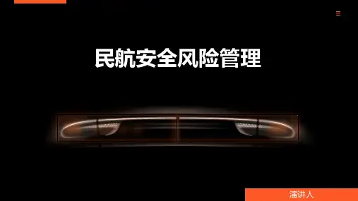 民航安全风险管理
