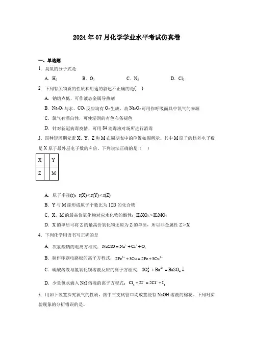2024年07月浙江省学业水平适应性考试化学学科仿真卷(原卷版)
