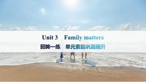 外研版高中英语学案必修第一册精品课件 Unit 3 Family matters 单元素能巩固提升