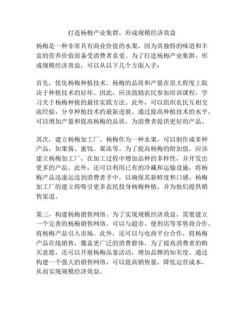 打造杨梅产业集群,形成规模经济效益