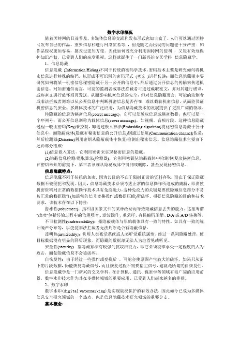 数字水印概况