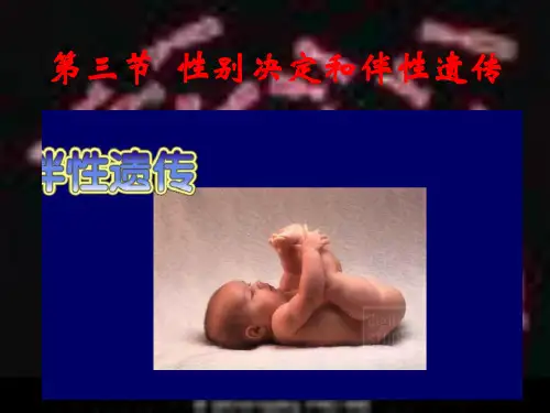 2011高考生物一轮复习性别决定和伴性遗传[1] 2