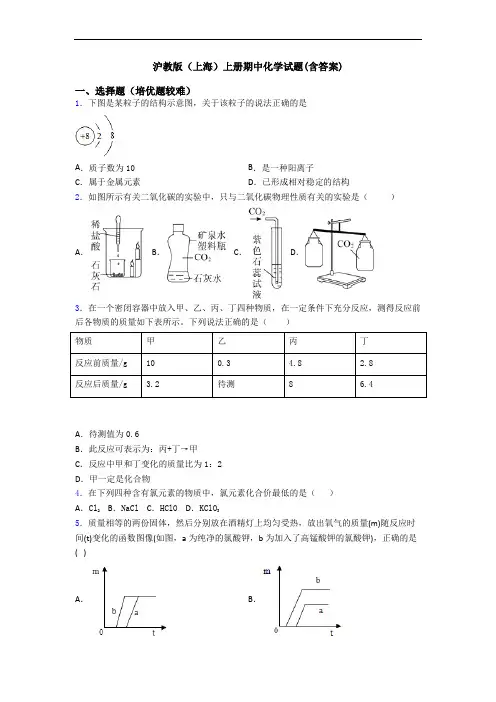 沪教版(上海)上册期中化学试题(含答案)