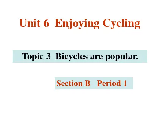 仁爱英语八下Unit 6 Topic 3 Section B课件