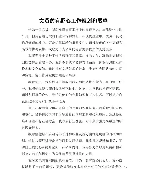文员的有野心工作规划和展望
