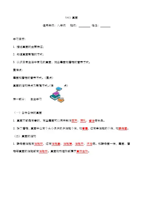 5.4.3 真菌(导学案) 八年级上册生物同步备课系列(人教版)(解析版)