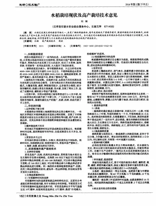 水稻栽培现状及高产栽培技术意见