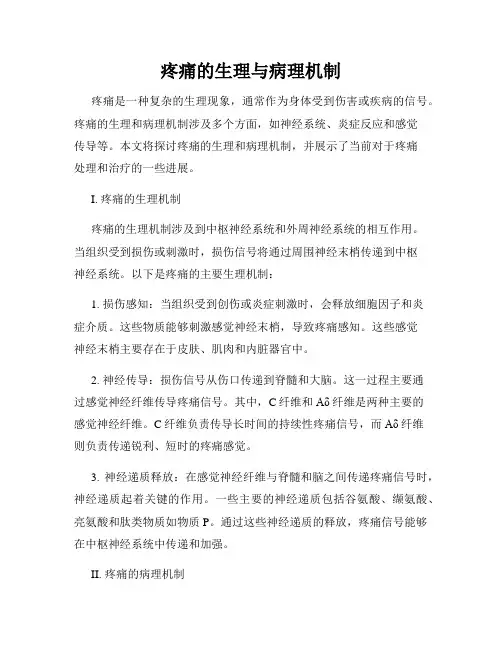 疼痛的生理与病理机制