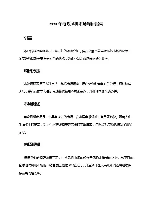 2024年电吹风机市场调研报告