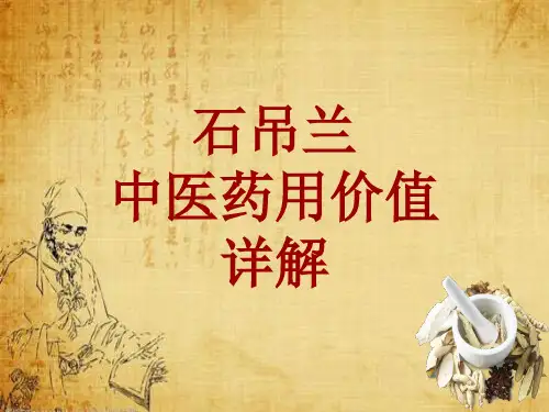 中药学_石吊兰_药材详解课件模板
