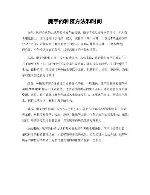魔芋的种植方法和时间
