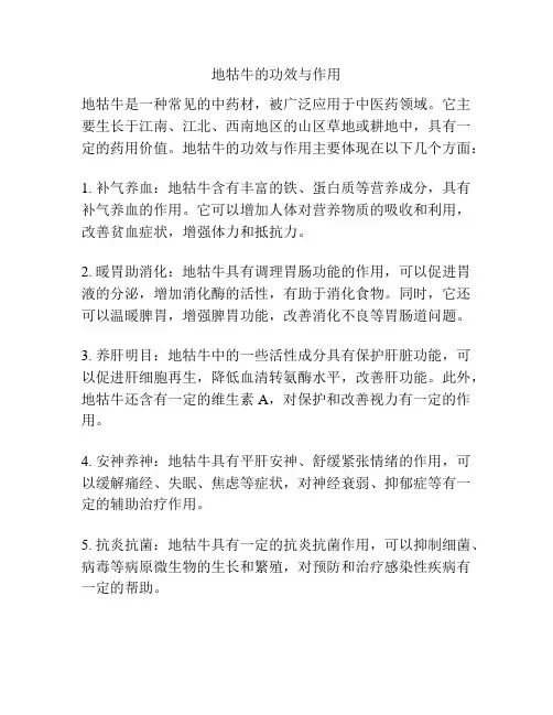 地牯牛的功效与作用