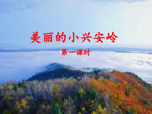 部编人教版三年级语文上册第20课《美丽的小兴安岭》优质课件(两课时共42页)