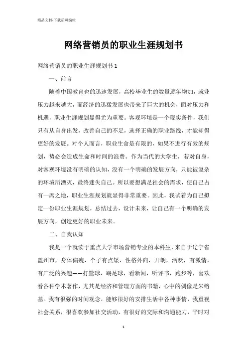 网络营销员的职业生涯规划书