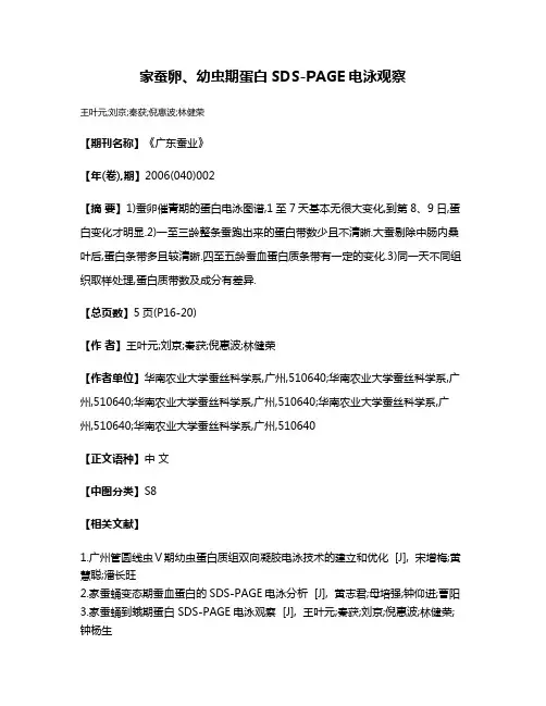 家蚕卵、幼虫期蛋白SDS-PAGE电泳观察